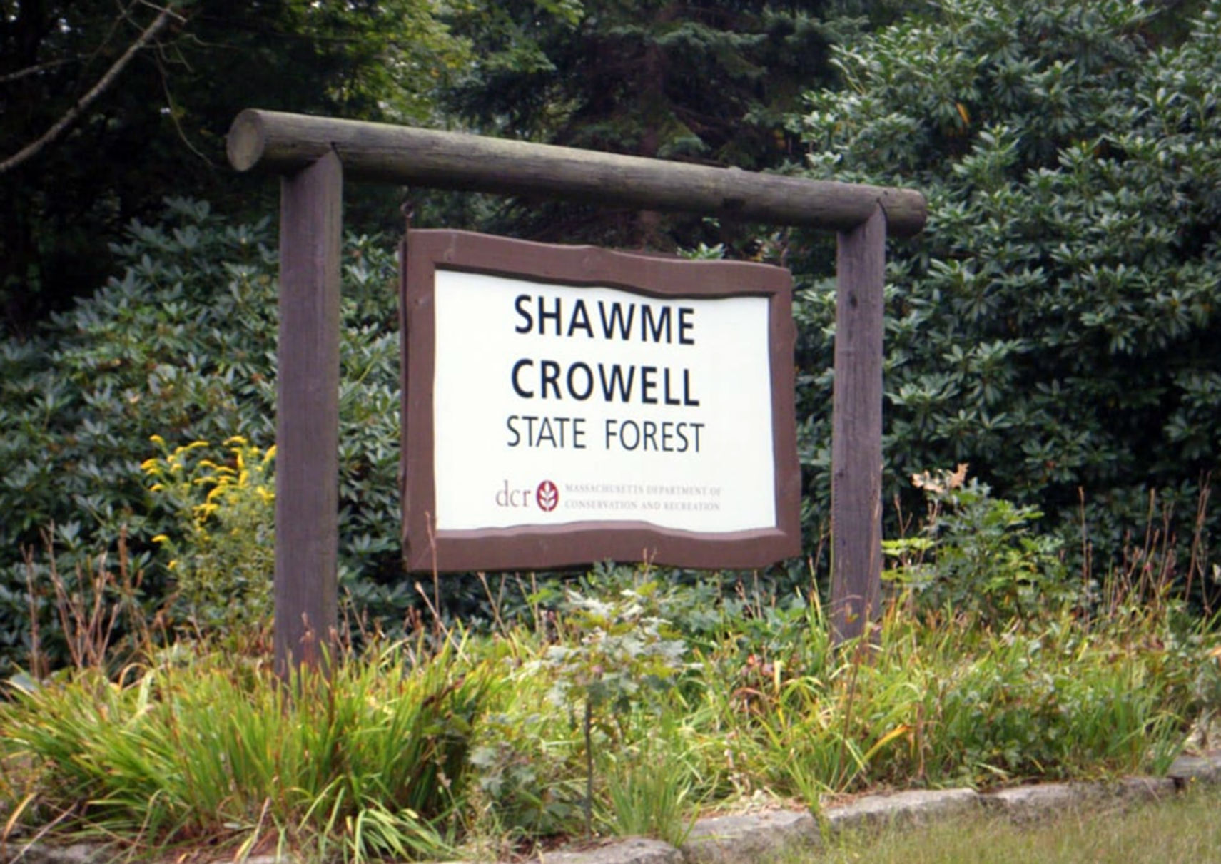Friends Of The Town Archives Ciolumn, February 12, 2021
